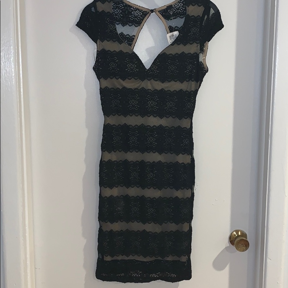 Bodycon lace open back dress with cap sleeves